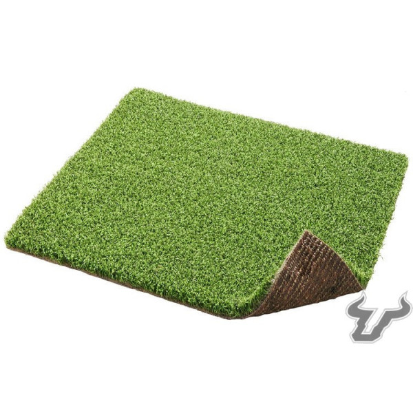 pg 21 putting greeb turf