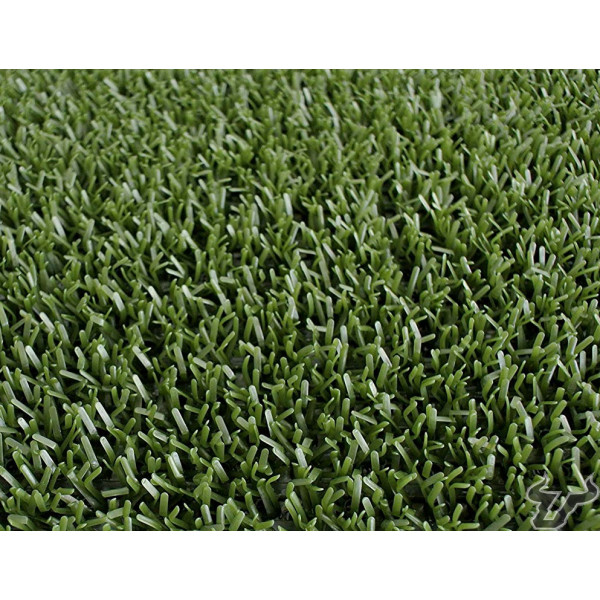 astro turf aves rapaces ceteria
