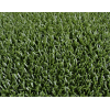 astro turf aves rapaces ceteria